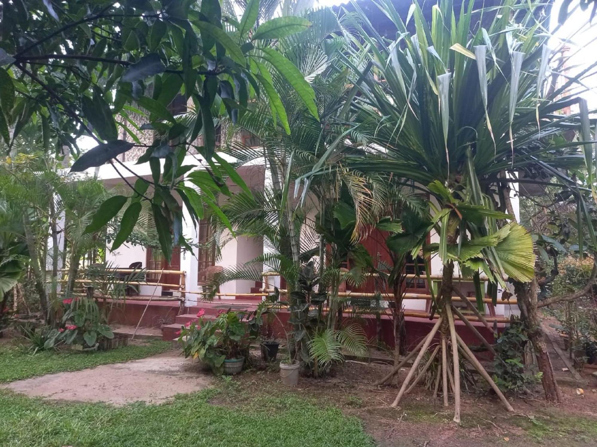 N S K Green Villa سيغيرِيا المظهر الخارجي الصورة