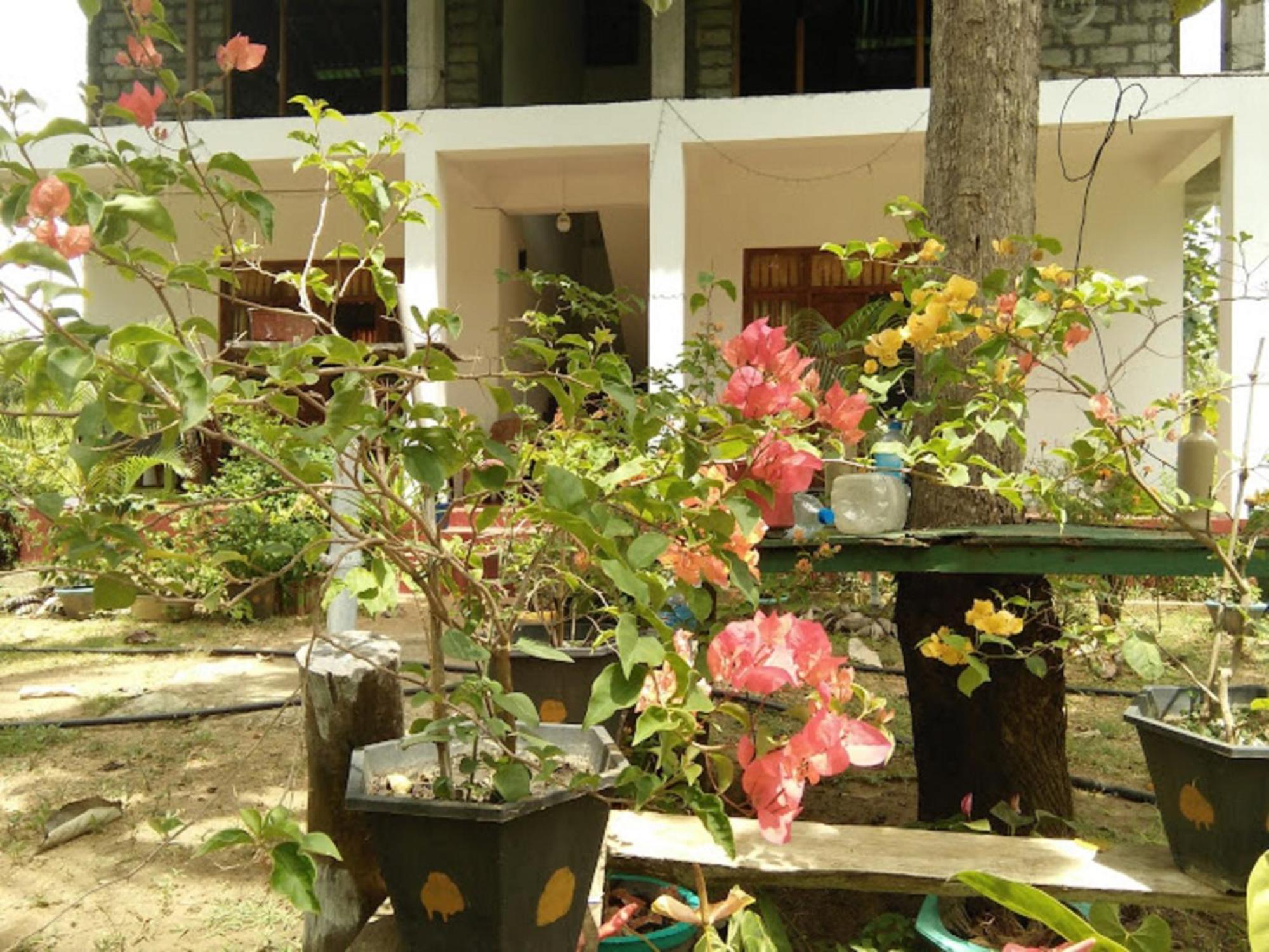N S K Green Villa سيغيرِيا المظهر الخارجي الصورة