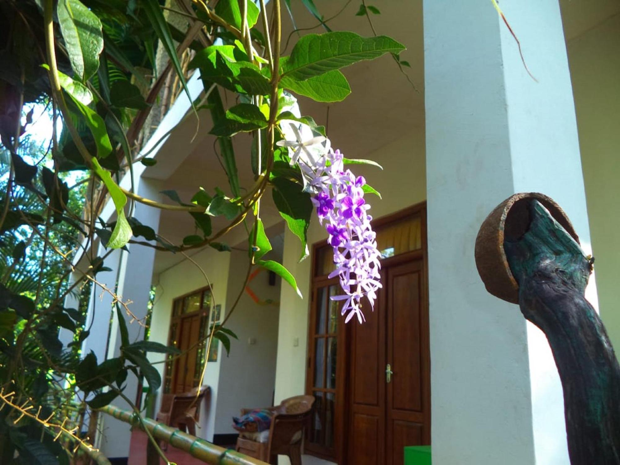 N S K Green Villa سيغيرِيا المظهر الخارجي الصورة